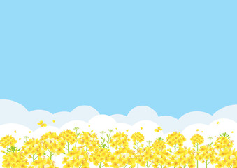 桜と菜の花畑 青空バックの背景イラスト 横長 2 1比率 Wall Mural Pp7 桜と菜の花畑 青空バックの背景イラスト 横長 2 1比率 Wall Mural Pp7