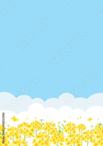 青空と菜の花畑 背景イラスト 縦長 A3 比率 Air Wall Mural A Pp7