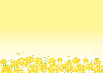 桜と菜の花畑 青空バックの背景イラスト 縦長 A3 比率 Wall Mural Pp7