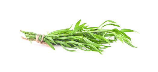 Fototapeta premium Tarragon (Artemisia dracunculus) Isolated on white background