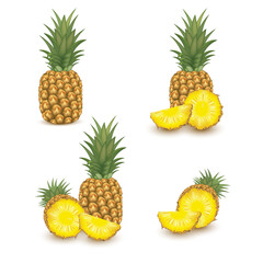 Fototapeta premium Pineapple on white background. Tropical healthy tasty fruit, sweet ananas. Healthy food concept. Organic fresh gourmet pineapple. illustration Vector 