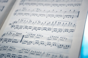 Fototapeta premium Music notes