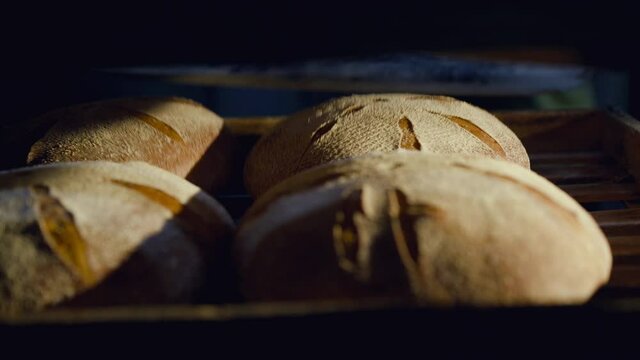 Close view of unloading freshly baked bread from the oven on shelves in factory