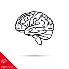 Human brain vector icon. Science, health care and knowledge symbol.