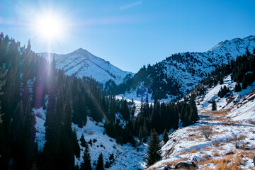 Beautiful rocky mountains with snow and fir tres background.