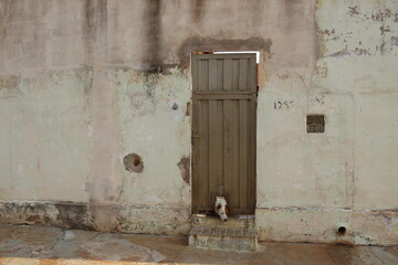 Porta de Ferro com cabeça de cachorro