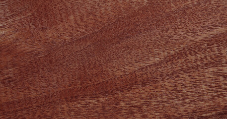 floor panoramic wooden texture background copy space for your design or put on wallpaper banner billboard. High quality easy conveniently for your work. Horizontal composition with top view