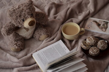 leisure, home, comfort, beige, fluffy, book, reading, gingerbread, treat, cup, food, coffee, chocolate, toy, bear, brown, sheet, towel, relaxation, beauty, relaxation, care, tea, cake, glass, breakfas