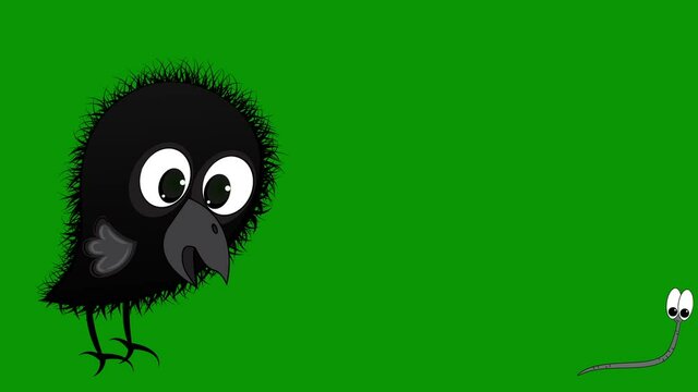 Animation little crow catches up with a worm. Green background.
