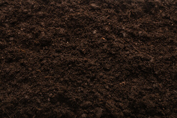 Black land for plant background.
