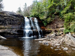 Obraz premium Muddy Falls waterfall in Swallow Falls State Park in Maryland in the fall with the water cascading down the hillside into the reserve. Beautiful nature with green trees and rocks all around.