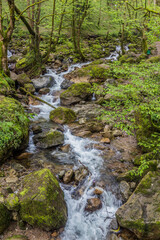 Small stream near Rudkhan castle in Iran