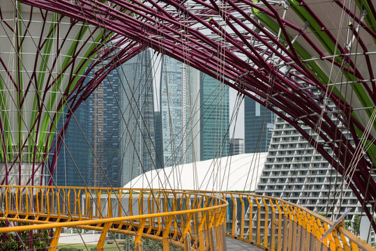 Elevated walkway in the Gardens by the Bay