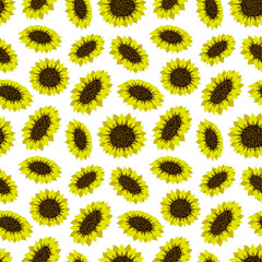 Flower pattern of sunflowers blooming on white background