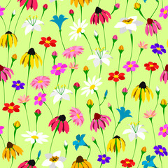 Floral pattern meadow of various flowers blooming on green background