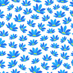 Floral pattern blue flowers blooming on white background