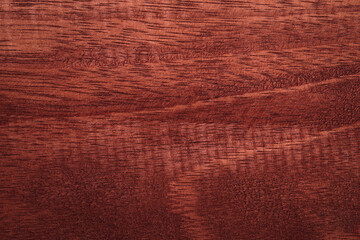 Light wooden texture background High quality for work look better and attractive. copy space for your design or decoration. Horizontal composition with Surface patterns from natural