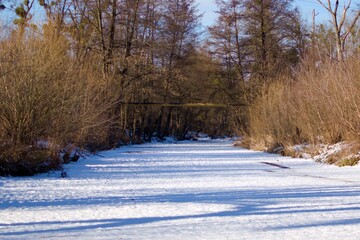 frozen river in forest covered with snow on sunny day