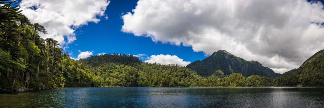 Lago del Toro amidst green Araucaria trees against mountain range
