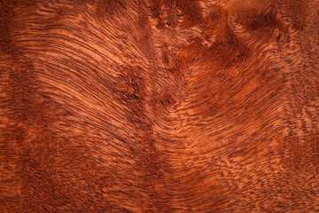 line brown hardwood texture High quality background made of dark natural wood in grunge style. copy space for your design or text. Horizontal composition with top view of Surface patterns concept
