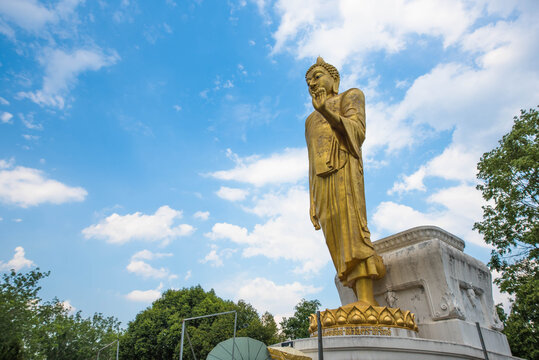 Standing Buddha image, the President of Blessing along the Mekong River at Ban Tha Khrok, Chiang Khan District, Thailand.