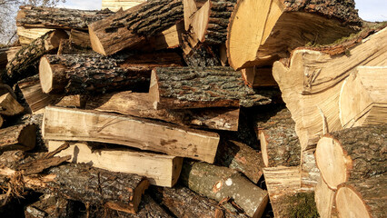 stack of firewood in winter. pile of wood logs