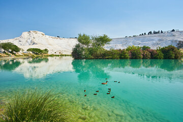 Naklejka premium The small lake in Pamukkale