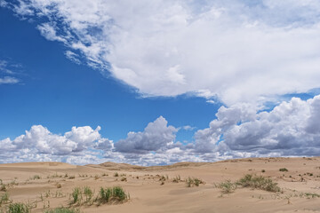 Mongolian landscape