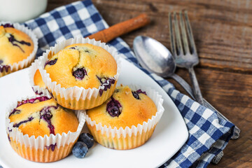 blueberry muffins with powdered sugar fresh berries (2)