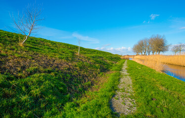 Dike in a green grassy field in wetland in sunlight under a blue sky in winter, Almere, Flevoland, The Netherlands, January 24, 2021
