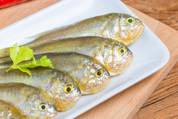 yellow croaker fish (3)