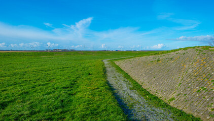 Fototapeta na wymiar Dike in a green grassy field in wetland in sunlight under a blue sky in winter, Almere, Flevoland, The Netherlands, January 24, 2021 