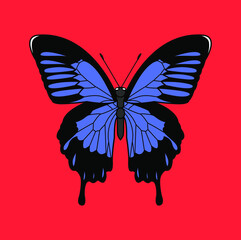 Butterflies are insects in the macrolepidopteran clade Rhopalocera from the order Lepidoptera, which also includes moths