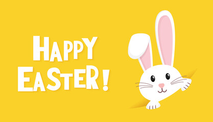 Easter rabbit, easter Bunny. Vector illustration.