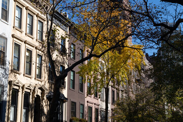 Fototapeta premium Row of Beautiful Old Brownstone Homes on the Upper East Side of New York City with Colorful Trees during Autumn