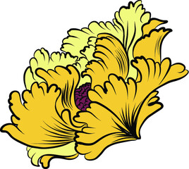 Hand drawn Peony flower Chinese style vector art.Chinese tattoo design pink Peony flower.