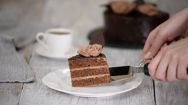 Piece of delicious homemade chocolate Prague cake.