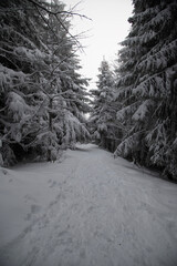 Fototapeta premium snow covered road