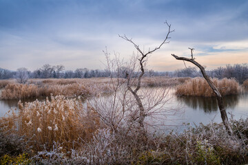 Late autumn by the lake