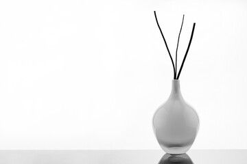 white vase on a white background with black sticks