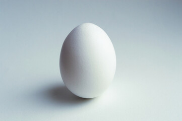 One chicken egg on a white background close up