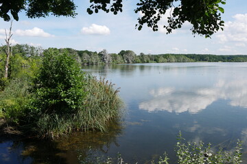 Warnker See im Müritz-Nationalpark an der Müritz in Mecklenburg-Vorpommern in der Mecklenburgischen Seenplatte