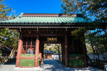 Fototapeta na wymiar 神奈川県 高徳院 仁王門