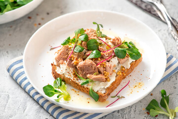 Tasty and healthy breakfast or lunch. Toast with tuna, ricotta cheese, and herbs in a white plate on a gray background close-up. Mediterranean style breakfast.