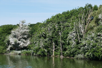 Warnker See im Müritz-Nationalpark an der Müritz in Mecklenburg-Vorpommern
