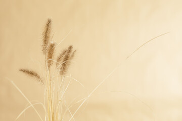 Obraz premium dray grain