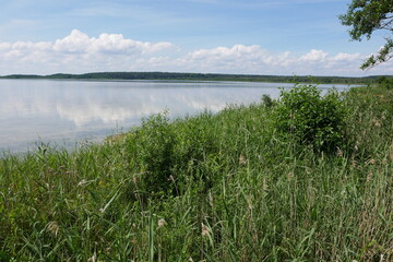 Feisnecksee im Müritz-Nationalpark an der Müritz in Mecklenburg-Vorpommern