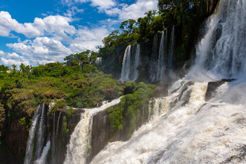 Fototapeta na wymiar Wonderful vivid landscape of Iguazu Falls with water streams falling down among verdant vegetation in sunny day