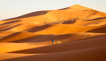 Fototapeta na wymiar Sahara Desert