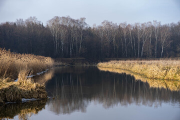 lake in autumn